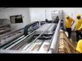 Lavado y centrifugado de alfombras mecanicamente